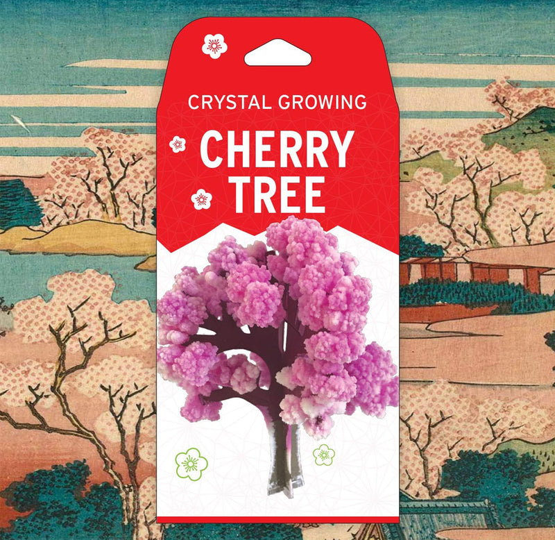 Cherry tree kit packaging shown in front of a cherry tree landscape drawing. 
