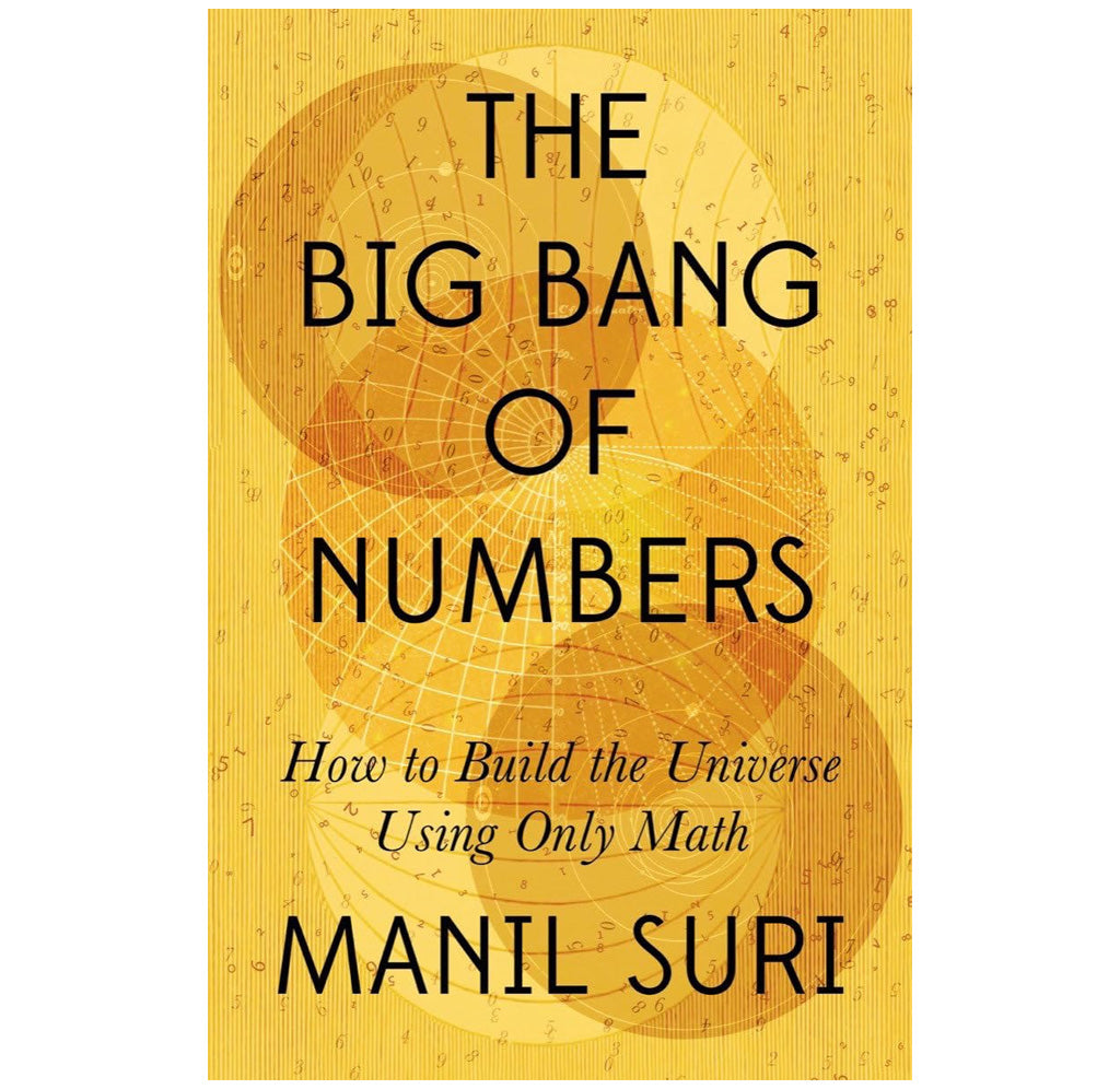 The Big Bang of Numbers by  Manil Suri