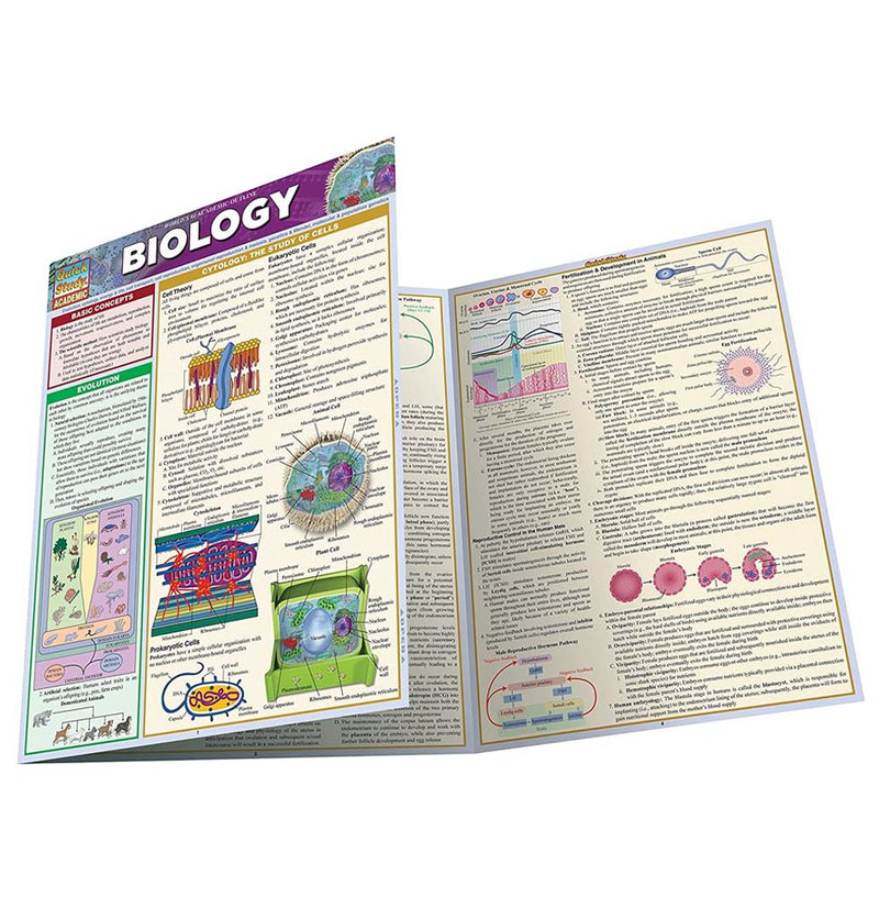 8 1/2" x 11" laminated three-panel fold-out guide on the basics of biology