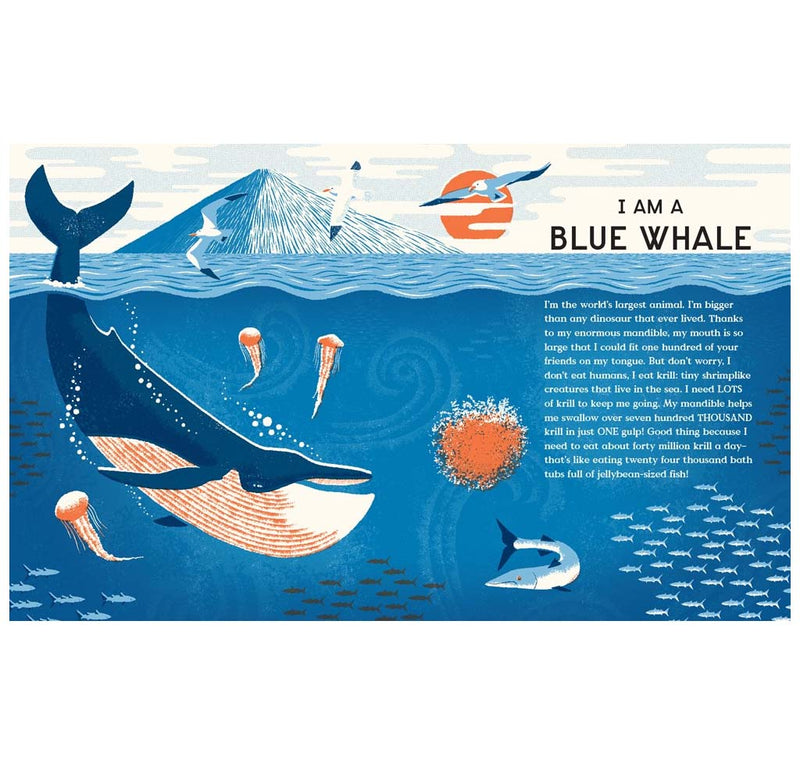  A blue whale is in an ocean setting with other sea creatures. 
