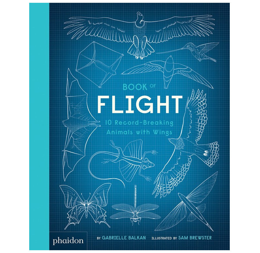 The book cover is blue with ten white line drawings of different animals that can take flight, such as a bat, a butterfly, a hawk, a sparrow, and a flying squirrel.