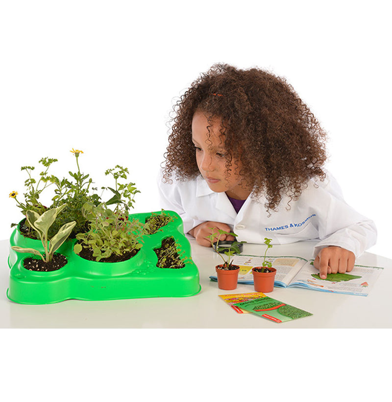 A young girl in a lab coat looking at the green Botany Kit with six thriving plants growing in it. 