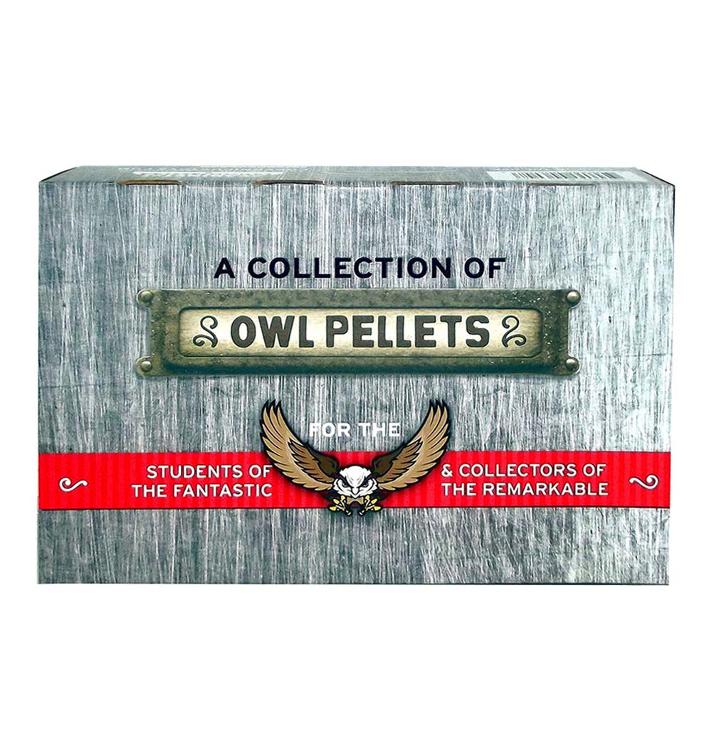 This is an image of the owl pellets packaging. The dimensions are 7" x 5". It is a gray box with a drawing of an owl in the middle.