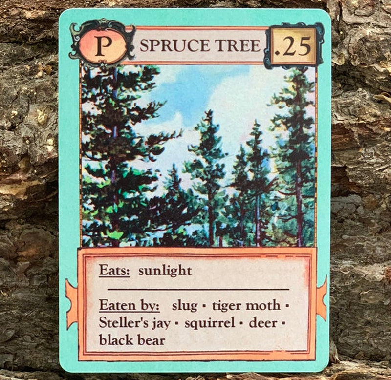 One of the cards from the game depicts spruce trees with stats on what it eats and what eats them.