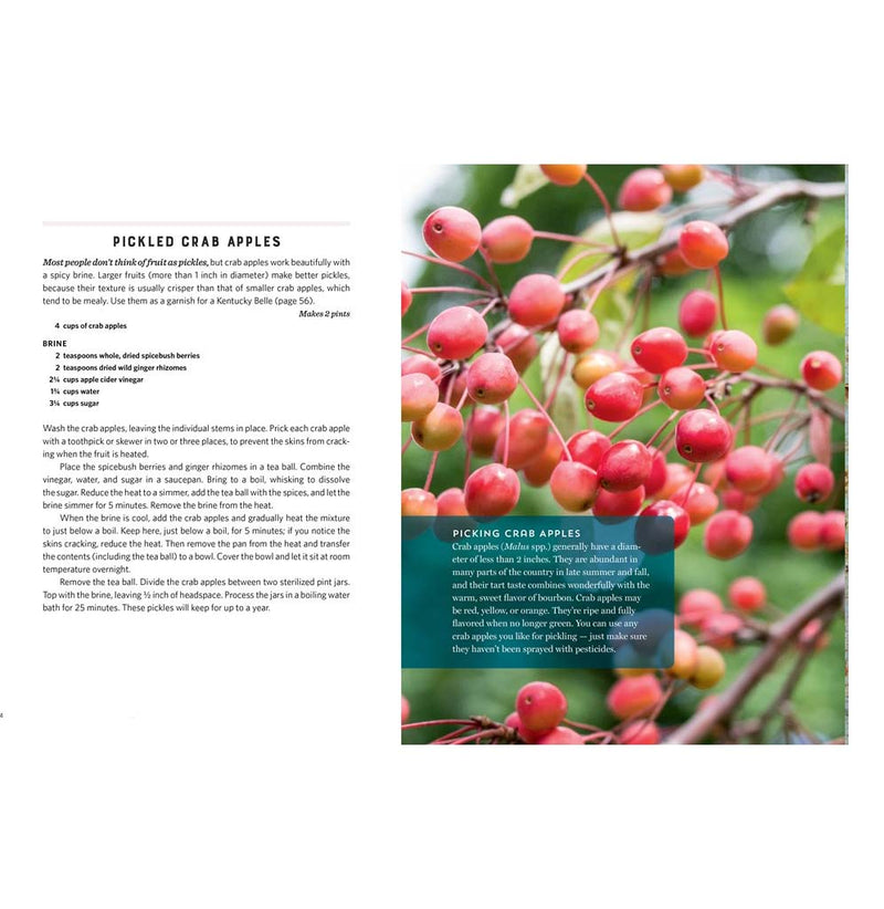 Layout from the book depicts picking crab apples, small red and yellow apples on a tree branch  Text is on the left page.