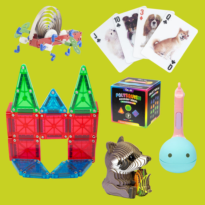 Blue, red, green & silver wind-up, lenticular dog playing cards, ploysquish box black and multicolored, blue, green and red magnatiles, brown raccoon holding corn and a pink & blue otamatone melody against a green background