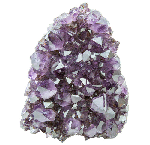 A purple amethyst cluster on a white background. 