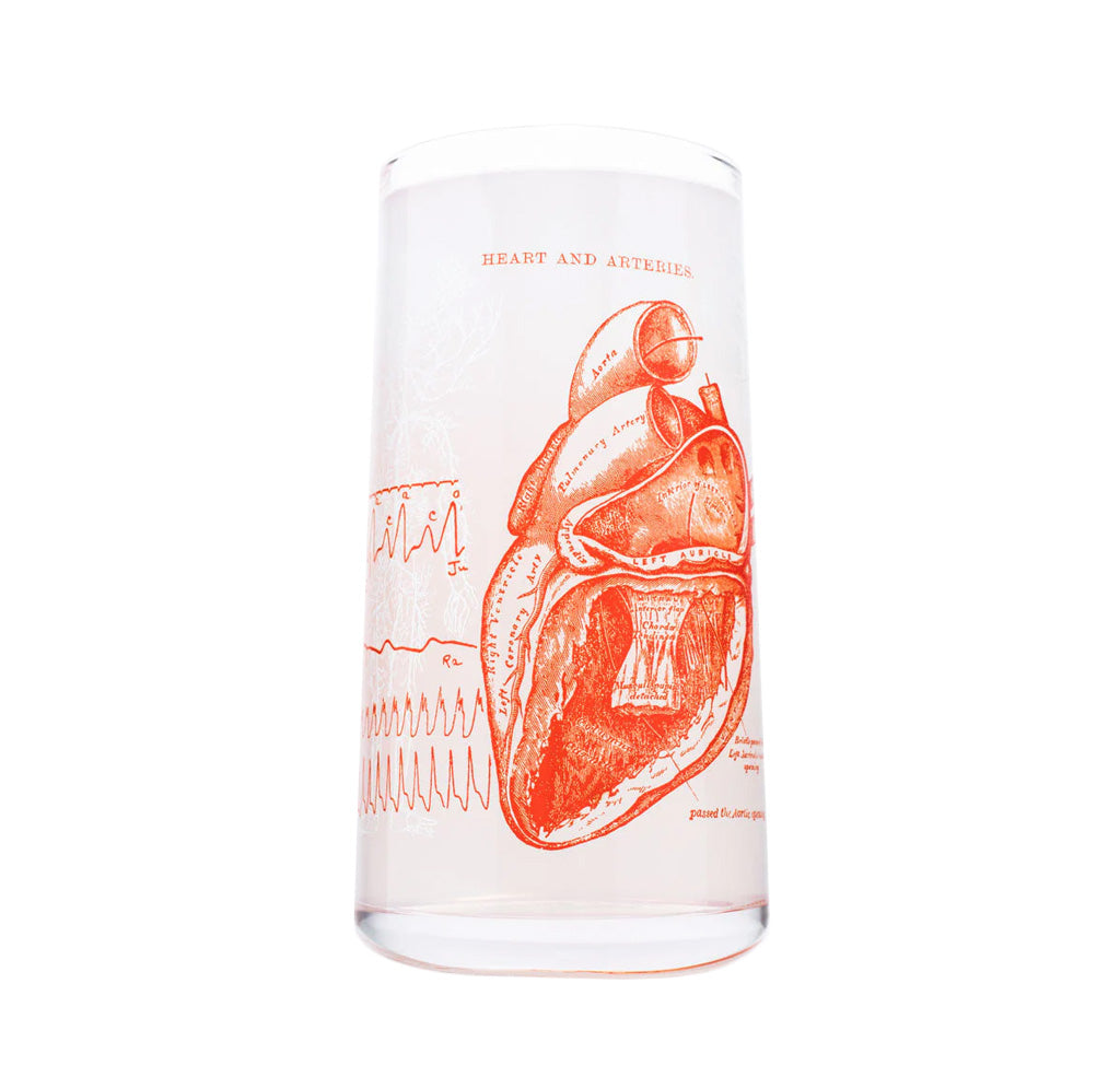 Clear drinking glass with red anatomical heart design on a white background