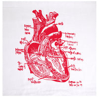 A white tea towel featuring a red anatomical illustration of a human heart with labeled parts.