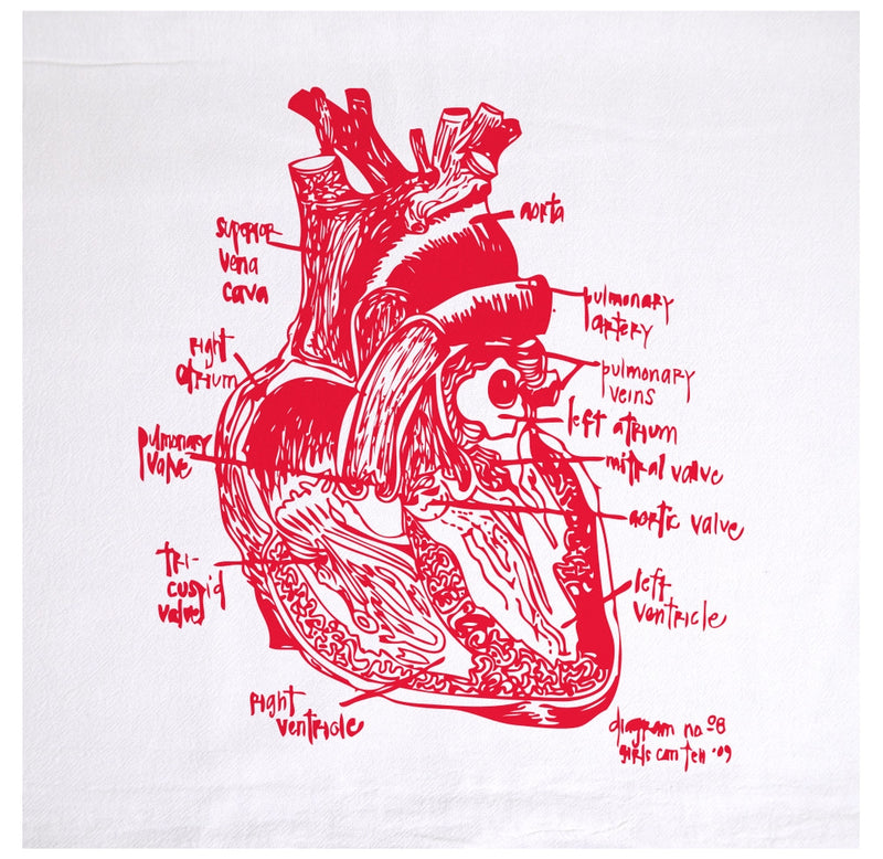 A white tea towel featuring a red anatomical illustration of a human heart with labeled parts.