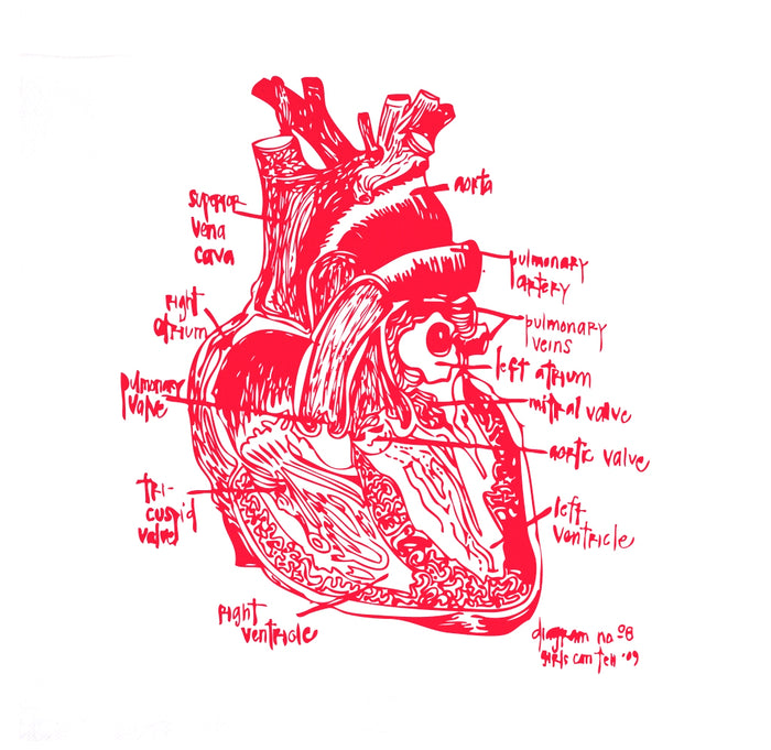 A red anatomical illustration of a human heart with labeled parts on a white background, including the aorta, pulmonary arteries, pulmonary veins, right ventricle, left ventricle, and valves on a white cotton kitchen towel.