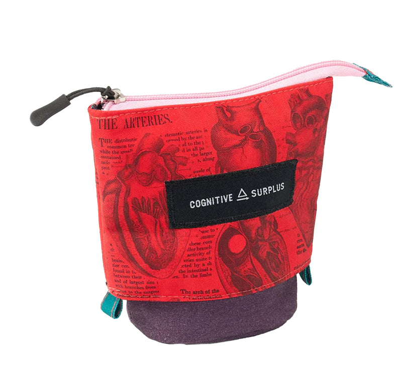 Anatomical Heart Telescoping Bag