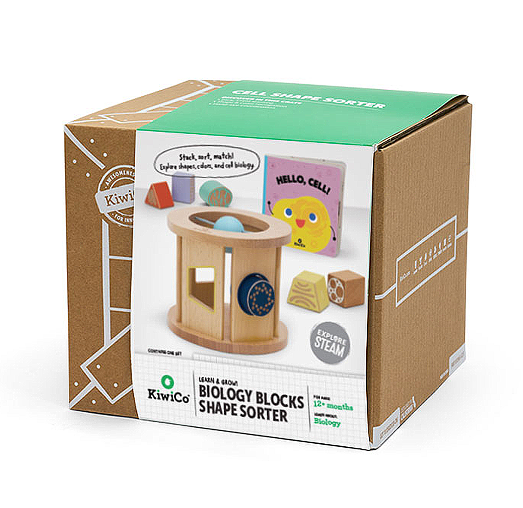 Biology Blocks Shape Sorter