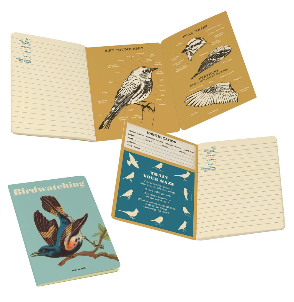 Open pages in the notebook showing different bird identification details.
