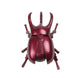 Red metallic beetle figurine on a white background