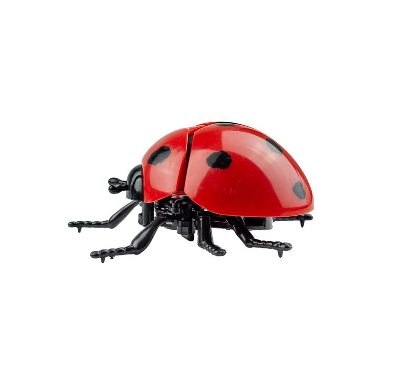 Toy ladybug on a white background