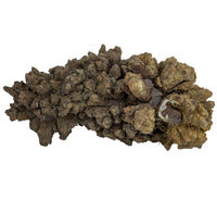 A jagged, brown fossil on a white background. 