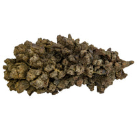 A jagged, brown fossil on a white background. 