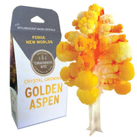 A small paper aspen tree covered in bright yellow and gold micro-crystals standing next to the packaging for the Crystal Growing Golden Aspen kit.