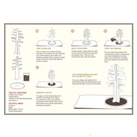 Step by step instructions for the Crystal Growing Golden Aspen Kit.