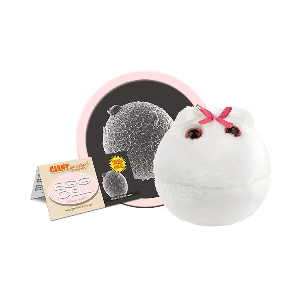 Egg cell stuffed toy in front of an enlarged image of a microscopic egg cell and the product tag. 