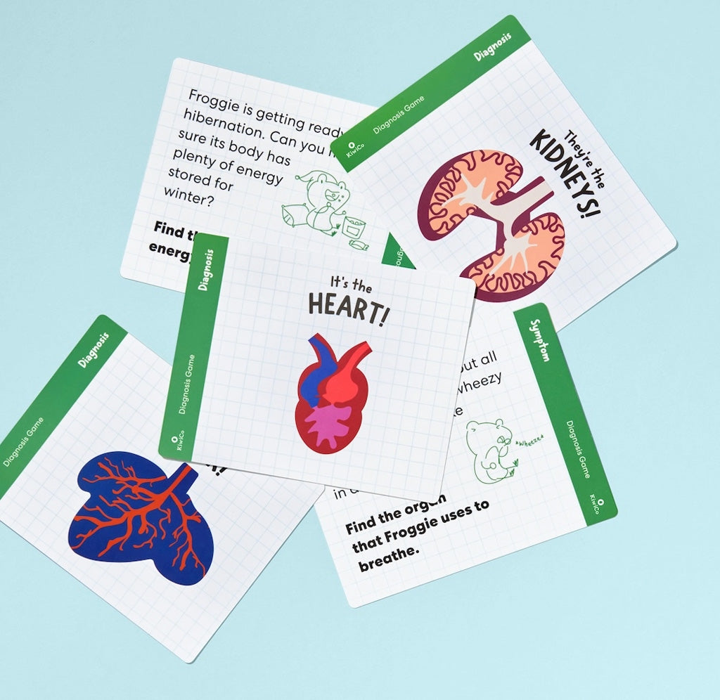 Educational flashcards with illustrations of organs on a light blue background