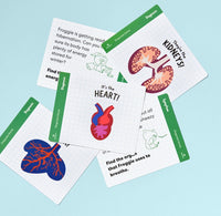 Educational flashcards with illustrations of organs on a light blue background