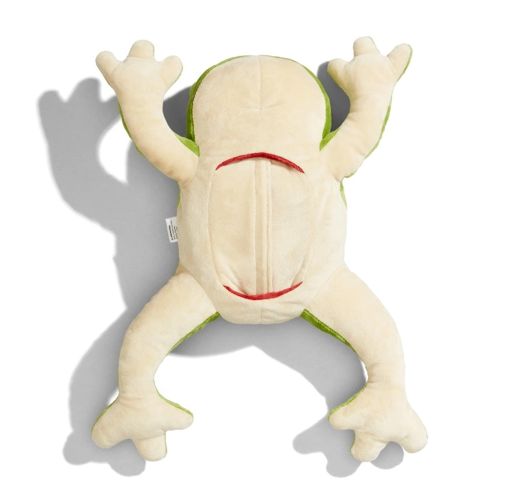 Froggie Dissection Lab – Exploratorium