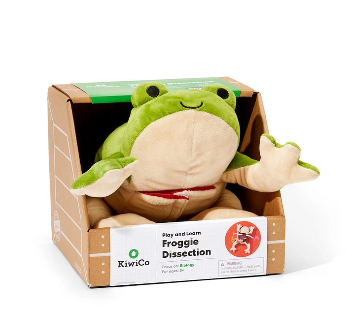 Plush frog toy in a cardboard box on a white background