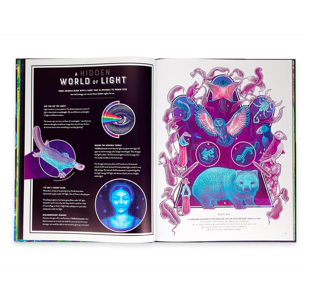 Open book showing pages with colorful illustrations and text on a white background