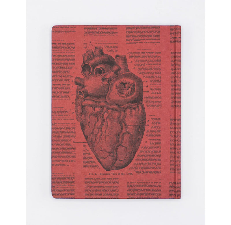 Red back cover of the notebook showing a different view of an anatomical human heart image. 