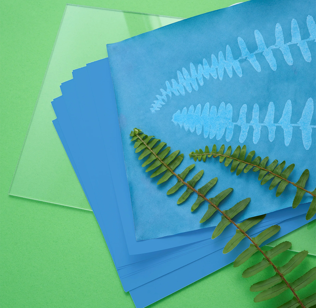 A stack of translucent acrylic sheets in blue and green tones, with a dried fern leaf placed on top of the blue sheet, set against a bright green background.