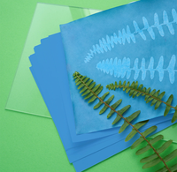 A stack of translucent acrylic sheets in blue and green tones, with a dried fern leaf placed on top of the blue sheet, set against a bright green background.