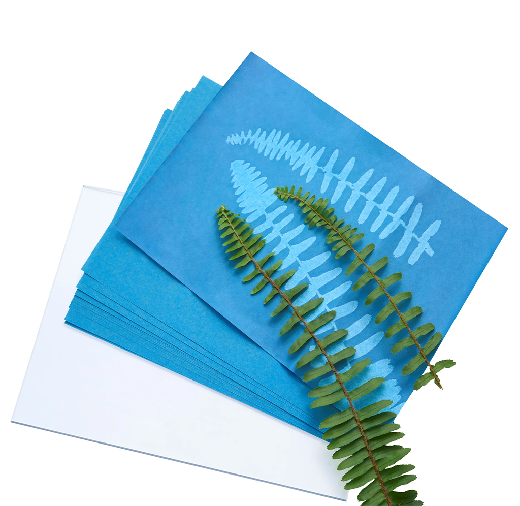 A stack of blue printing cards with white fish skeleton illustrations, layered over a white envelope, with a green fern leaf placed on top, all on a white background.