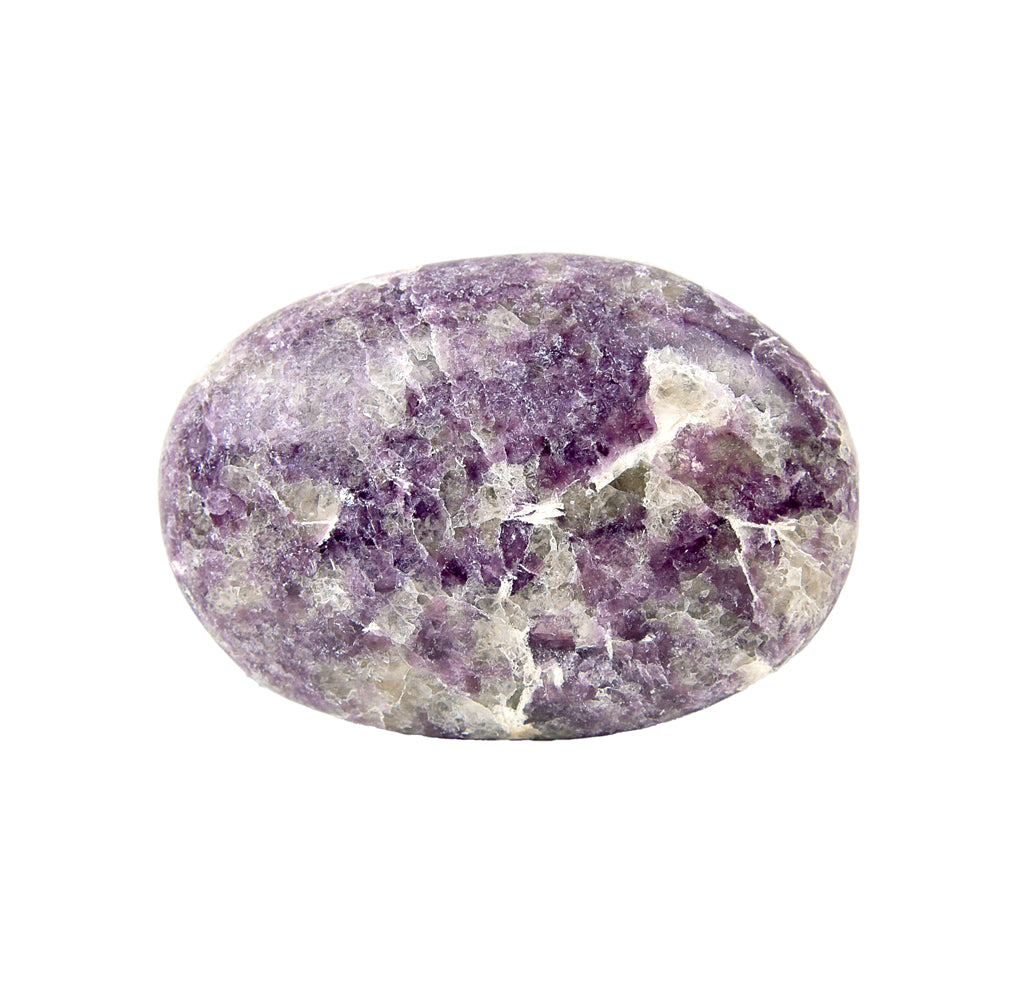A purple and white pebble is on a white background. 