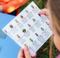 A close-up of a person holding a printed educational card featuring colorful illustrations and names of different bugs, photographed outdoors with a blue table and grass in the background.