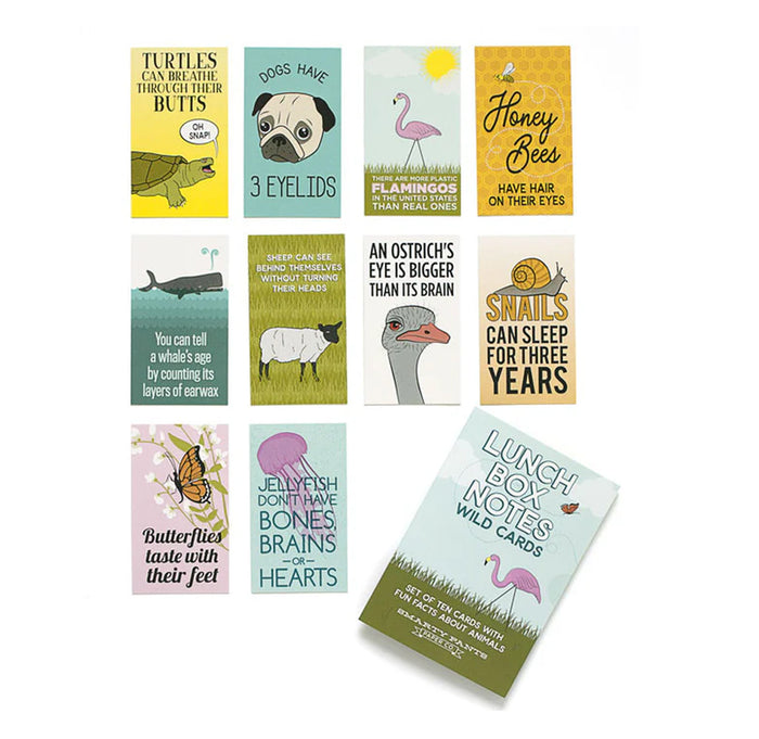 A set of illustrated quote cards arranged on a white background, including designs with turtles, dogs, flamingos, honey bees, a shark, a goose, a snail, butterflies, jellyfish, and a fanned-out card reading 'Lunch for Notes: Wild Cards'.