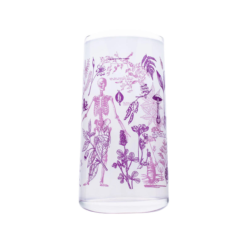 Clear glass with pink anatomical skeleton and plant design on a white background
