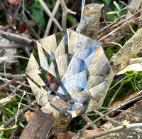 A faceted clear acrylic or glass sun catcher ornament hanging outdoors on a tree branch, surrounded by dry twigs and green foliage. The transparent object refracts sunlight into rainbow-colored light streaks.