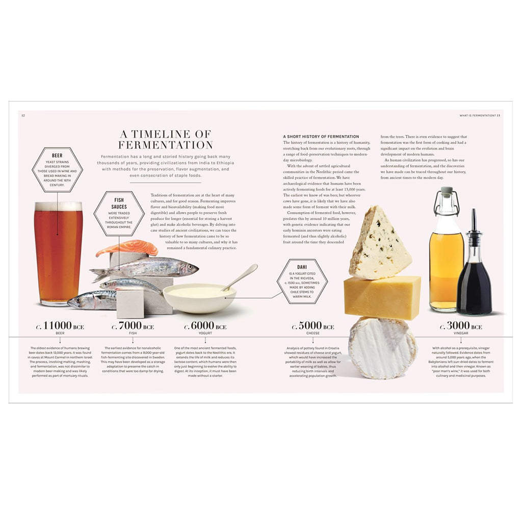 An informational infographic page titled 'A TIMELINE OF FERMENTATION' with illustrations and photos of beer, wine, cheese, and oil bottles arranged around text blocks on a pale pink background.