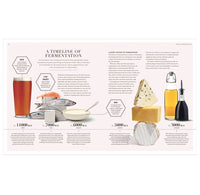 An informational infographic page titled 'A TIMELINE OF FERMENTATION' with illustrations and photos of beer, wine, cheese, and oil bottles arranged around text blocks on a pale pink background.