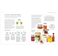 An open book spread featuring an article titled 'LACTIC ACID BACTERIA' with text, diagrams, and a photo of assorted glass jars containing colorful pickled and dried foods on a white page.