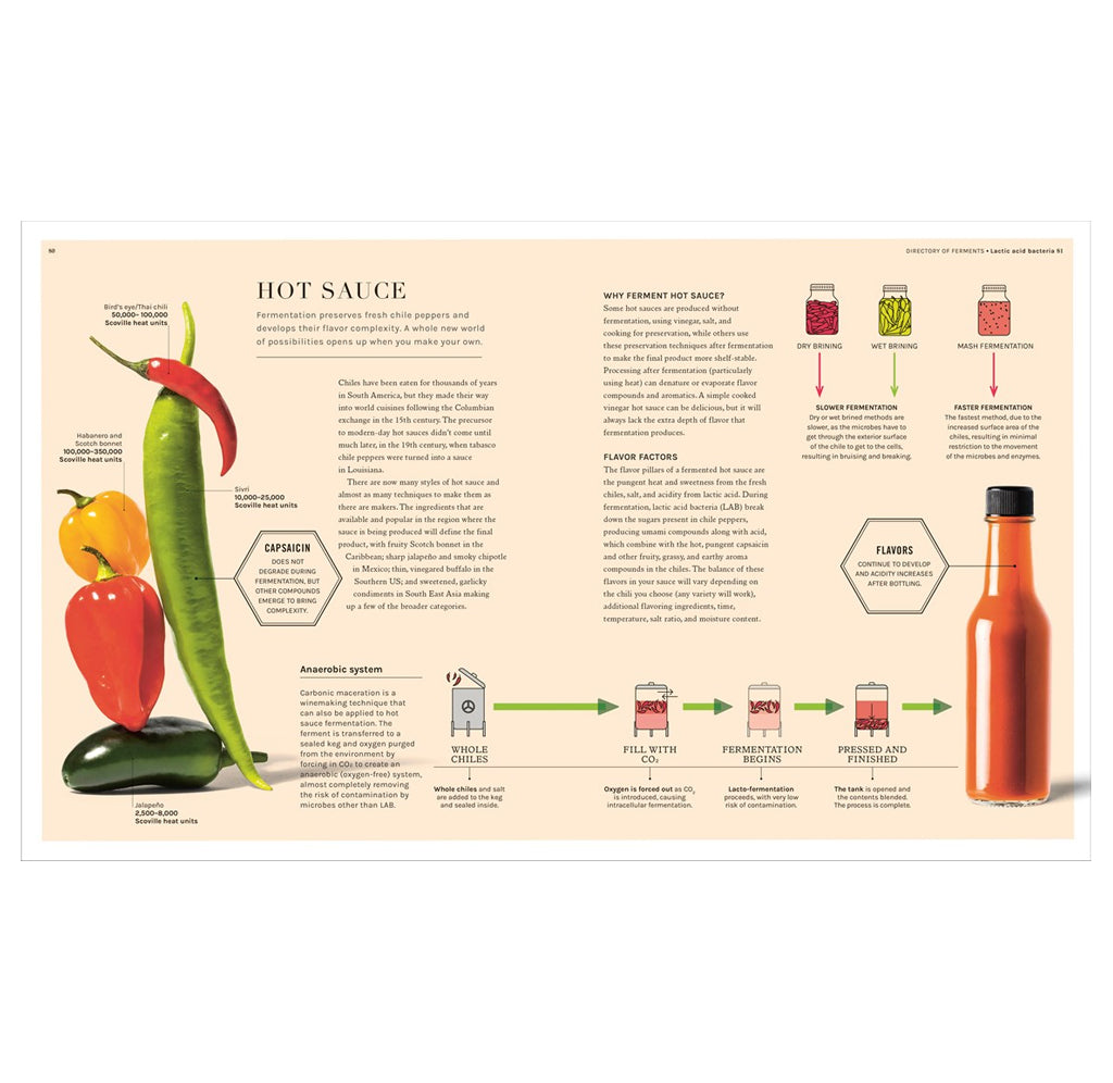 An educational infographic layout spread titled 'Hot Sauce' on a beige background, featuring illustrations of peppers, jars of sauce, and a 5-step production process, with a bottle of hot sauce shown on the right.