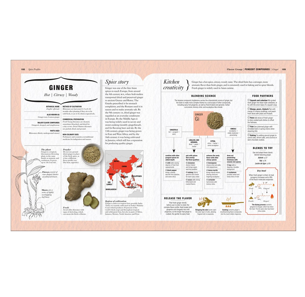The Science of Spice: Understand Flavor Connections and Revolutionize Your Cooking
