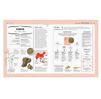 The Science of Spice: Understand Flavor Connections and Revolutionize Your Cooking