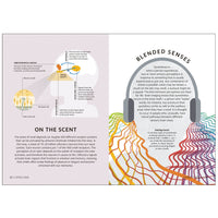 Layout page for Simply the Brain showing how scent and blended senses affect the brain.