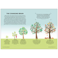 Layout page from Simply the Brain titled 'THE CHANGING BRAIN' from 'S&E DEVELOPMENT' explaining brain development from birth to aging, featuring colorful illustrations of a human brain and trees representing different developmental stages.