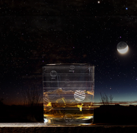 A transparent smartphone interface overlays a starry night landscape with a bright moon, bare trees, and glowing horizon; the scene feels quiet and futuristic.