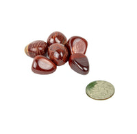 Red stones with a coin for scale on a white background