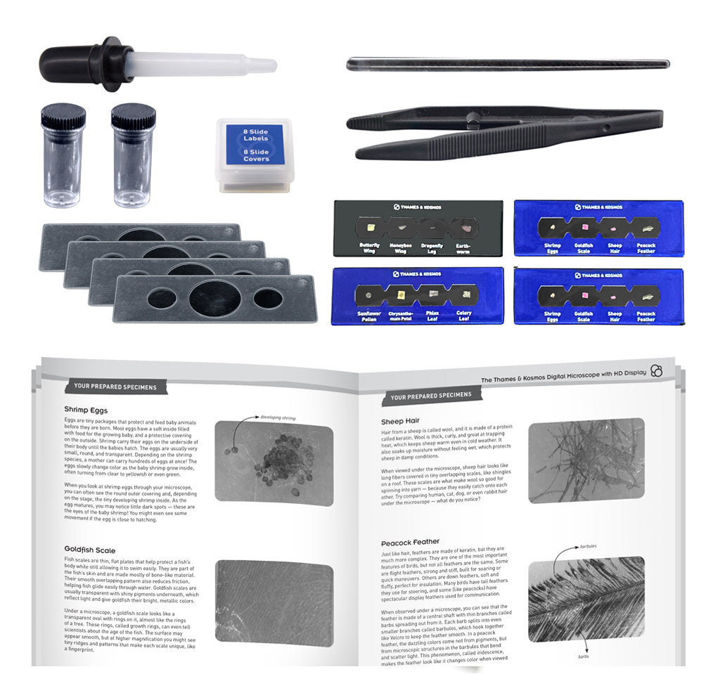 A flat-lay product shot of a microscopy kit and instruction booklet. The kit includes a microscope slide cover, specimen covers, a dropper, forceps, two small vials, a small box, several gray slide holders, blue specimen cards, and an open instruction booklet showing text and microscopy images.